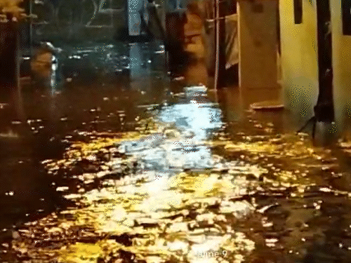 ऐसा ही एक नजारा शिवनगर में देखने को मिला