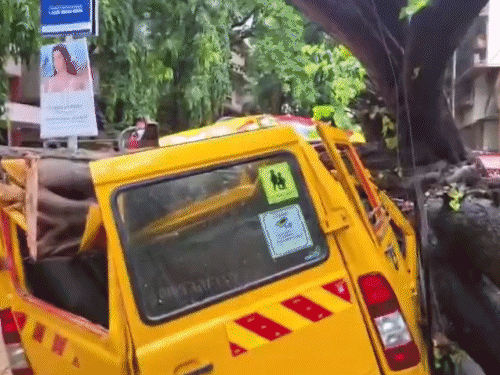 बस पर गिरे पेड़ को कटर की मदद से काटकर अलग किया गया।