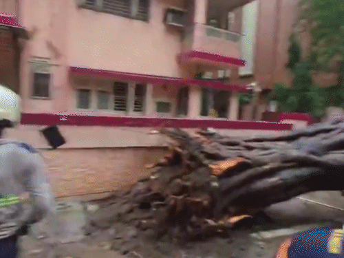छात्रों को निकालने के लिए रेस्क्यू ऑपरेशन चलाया जा रहा है।
