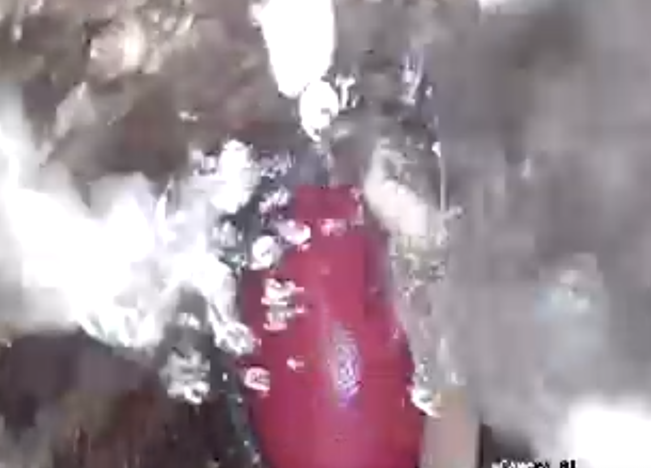 मंगलवार शाम को कैमरे में निरवैर की टीशर्ट और हाथ दिखाई दिए थे।