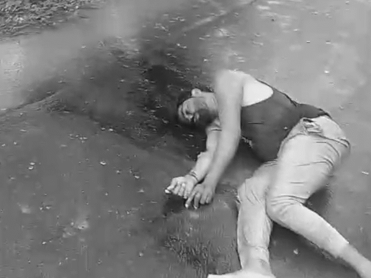 टक्कर से हवा में उड़ गया, फिर सड़क पर गिरकर मर गया।