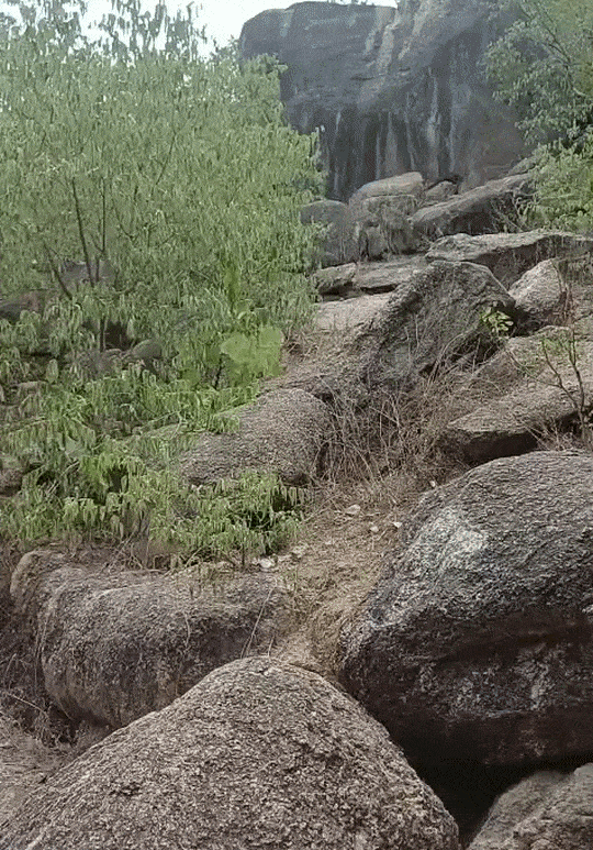 रेहान याच टेकडीवर चुकीच्या गोष्टी करायचा.