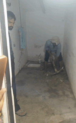 आगरा पति हत्या मामला