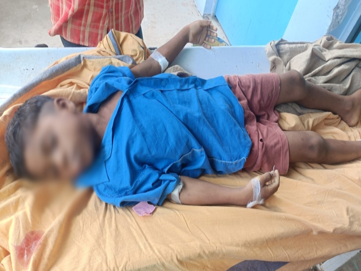 सांप के काटने से 9 साल का विकास नगेशिया की मौत हो गई।