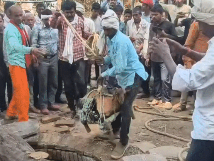 बैल को निकालने के लिए चारों लोग इसी कुएं में उतरे थे। बाद में गैस के असर को जांचने के लिए गांव वालों ने बकरी को बांधकर कुएं में उतारा।