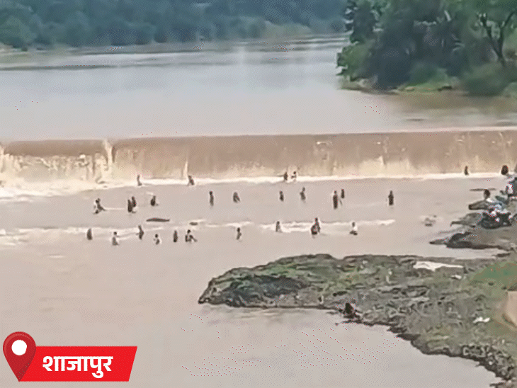मध्य प्रदेश के शाजापुर में तेज बारिश के बाद कालीसिंध नदी उफान पर है।