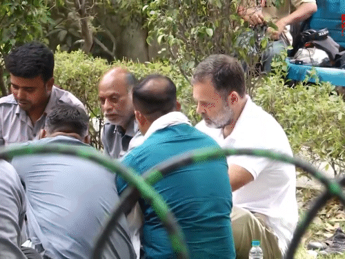 मई 2026 में राहुल दिल्ली के बंगाली मार्केट स्थित टोडरमल पार्क में ऑटो रिक्शा चालकों के बीच पहुंचे थे। वहां उन्होंने ऑटो चालकों के साथ भोजन किया था।