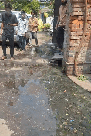गोलागंज वार्ड के छोटा जाफर मंजिल रोड पर जलभराव की समस्या स्थायी बन चुकी है। हल्की बारिश या सीवर ओवरफ्लो होते ही सड़क पर पानी भर जाता है।