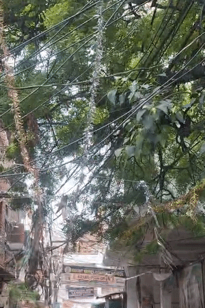 गोलागंज वार्ड के राजा मियां मार्ग पर बिजली और केबल के तारों का जाल लोगों के लिए बड़ी परेशानी बना हुआ है। जगह-जगह लटकते तार हादसों का खतरा बढ़ा रहे हैं।