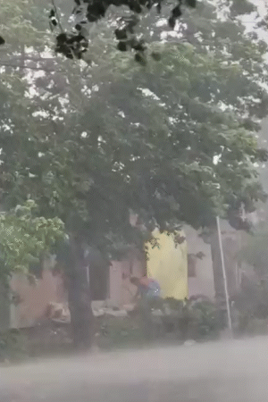 प्रयागराजमध्ये वादळी पाऊस पडत आहे. रस्त्यांवर पाणी साचले आहे.