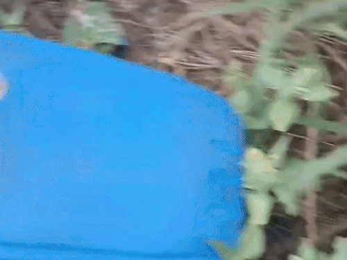 An oil drum and pipe were also found near the bodies of Kamil and Irshad.