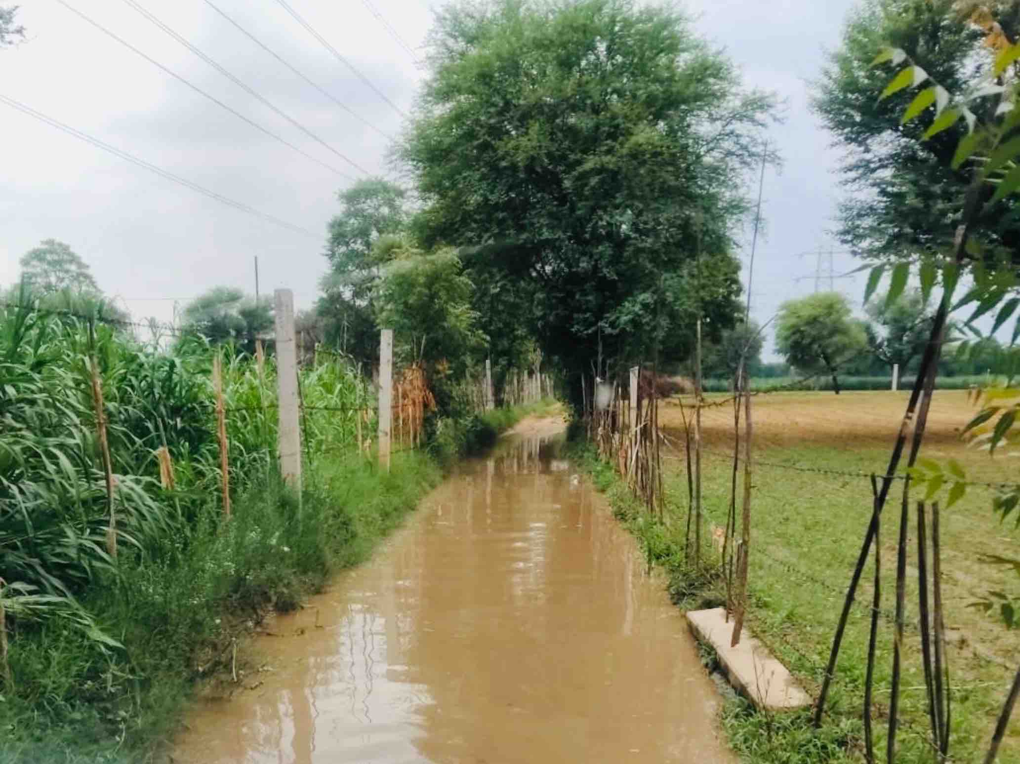 बारिश के बाद खेत के रास्तों पर जलभराव