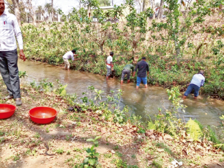 बेतवा नदी की सफाई करते सामाजिक संगठन के कार्यकर्ता