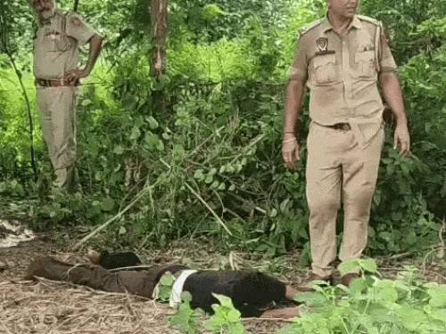 एनकाउंटर के बाद आरोपी को पुलिस ने काबू कर लिया है। - Dainik Bhaskar