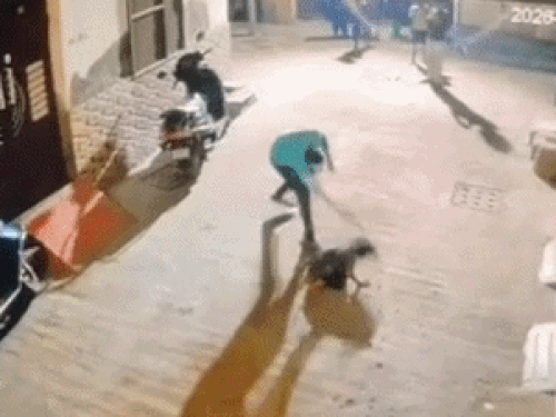 संजय कॉलोनी में बच्ची को थप्पड़ मारने के बाद बच्ची को उठाकर पटकर दिया।