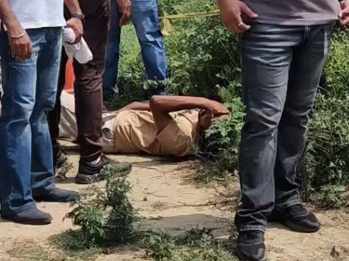 मुठभेड़ के बाद जमीन पर पकड़ा आरोपी। मौके पर पहुंचे जालंधर के पुलिस कमिश्नर सतिंदर सिंह ने मीडिया से बात की। - Dainik Bhaskar