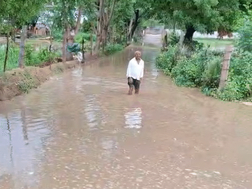 सीकर की शोभा वाली ढाणी में बारिश के बाद भारी जलभराव हो गया, जिससे रानोली जाने वाला संपर्क मार्ग कट गया है।