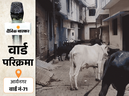 वार्ड-71 के पार्षद पर पक्षपात का आरोप, लोग बोले-नलों से आता नाली जैसा पानी, जो पिएगा बीमार पड़ेगा|गोरखपुर,Gorakhpur - Dainik Bhaskar