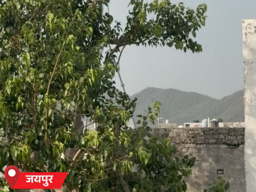 जयपुर में शुक्रवार को बादल छाए रहे। दोपहर बाद धूप भी निकली