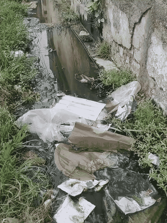 मोहल्ले की नालियां अभी तक सड़क के मेन नाले से नहीं कनेक्ट हो पाई हैं। नालियों की जलनिकासी भी ठीक नहीं है। इसकी वजह से रास्तों पर गंदा पानी भरता है।