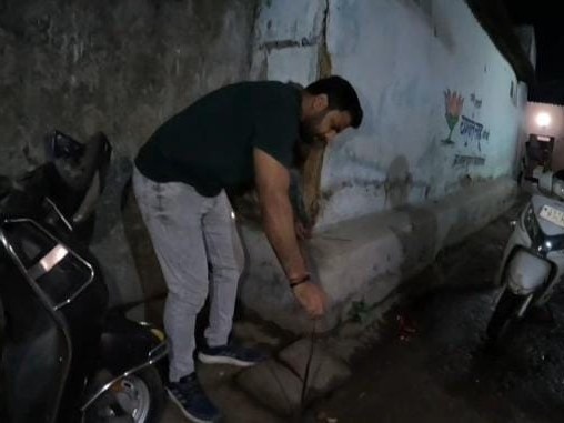 कॉमन करैत का जहर अत्यंत घातक माना जाता है।