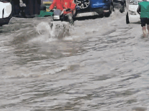 मोहाली के सेक्टर-70 में बारिश के बाद जलभराव।