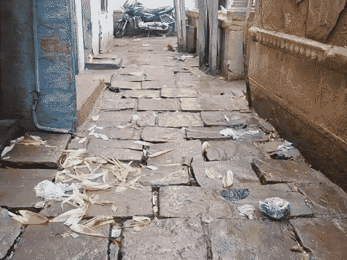 वार्ड नंबर-81 में सबसे दयनीय हाल गलियों के मिले। ज्यादातर गलियों में चौके उखड़े हुए मिले और सीवर सिस्टम भी डैमेज मिला।