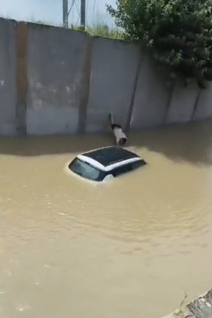 मेरठ में अंडरपास में 5 फीट पानी भर गया। इसमें कार डूब गई। कार सवार दो युवकों को पुलिस ने रस्सी के सहारे बचाया।