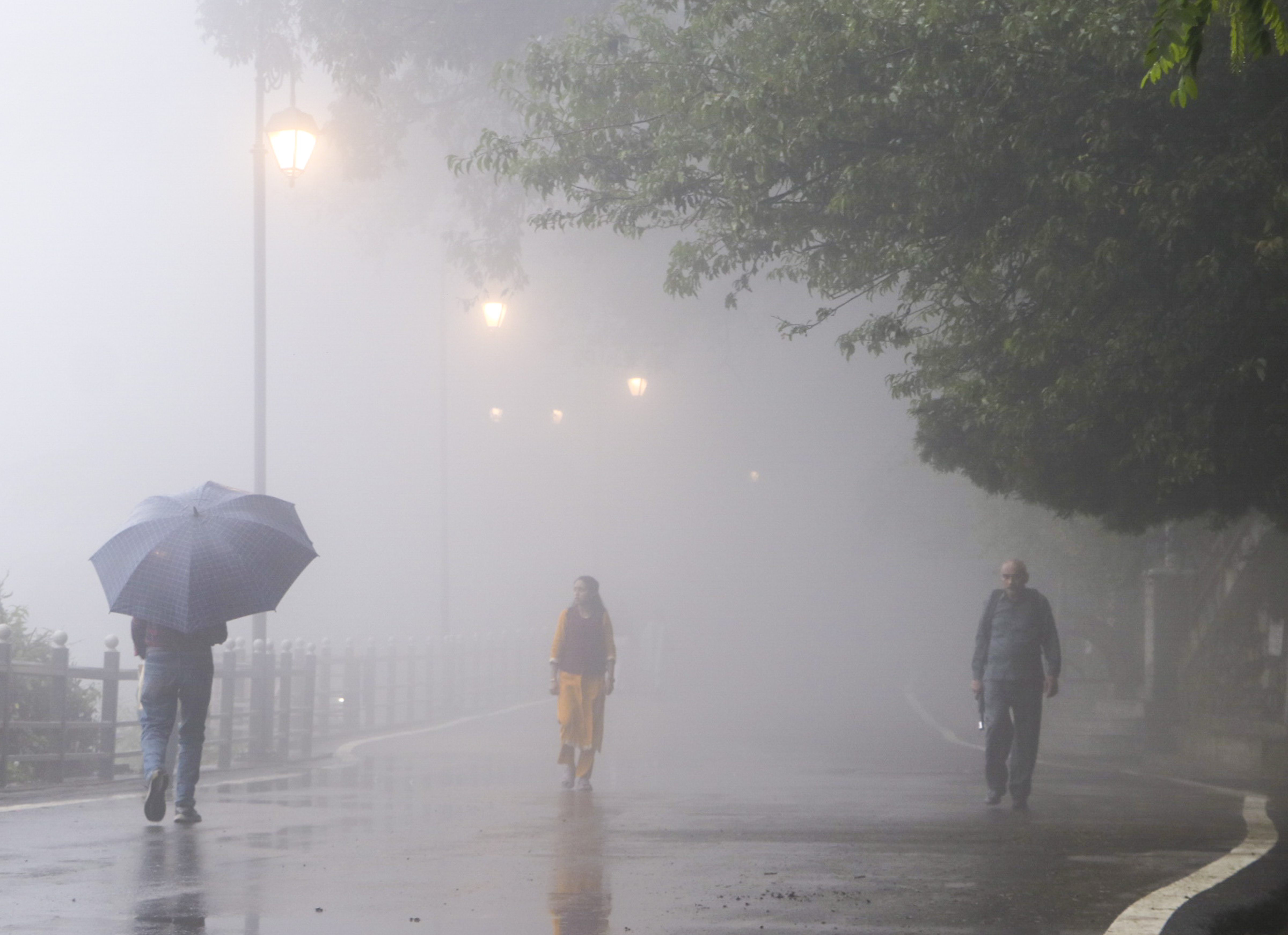 हिमाचल प्रदेश के शिमला में मानसून के कारण हो रही बारिश के चलते तापमान कम हो गया है। शनिवार शाम को घना कोहरा छा गया।