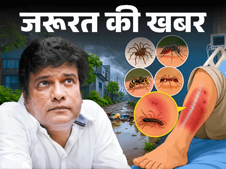 बारिश में कीड़ों से सावधान, ये 8 संकेत इग्नोर न करें, कीड़ों से बचाव के 9 टिप्स|लाइफस्टाइल,Lifestyle - Dainik Bhaskar