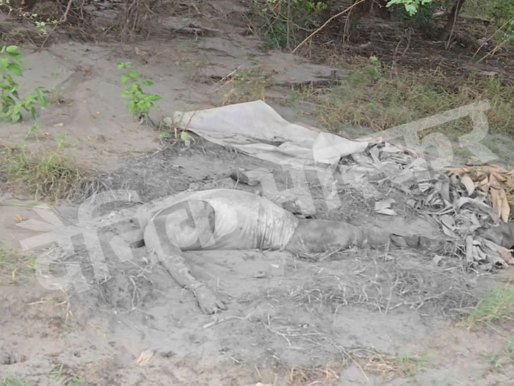 पटना के अथमल गोला में बंटी लाश मिली। उसका सिर और पैर जमीन में गड़ा मिला।