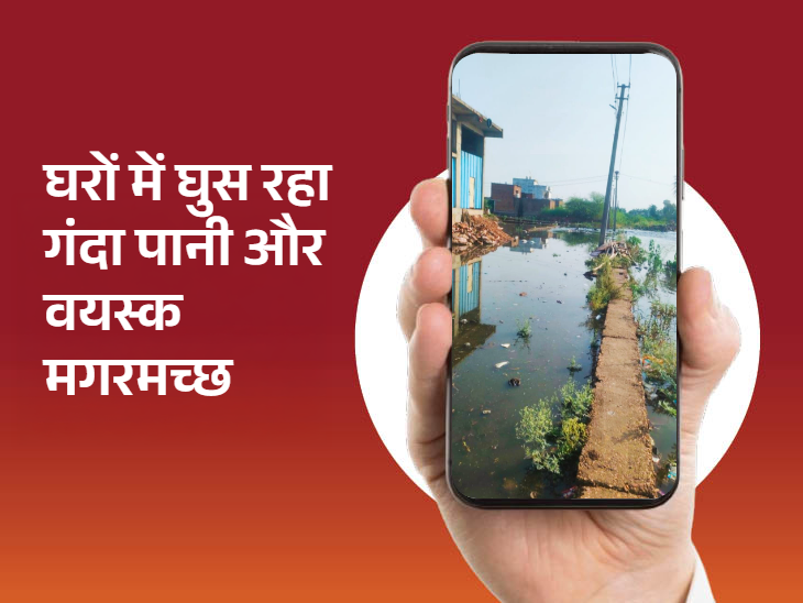 घरों में गंदा पानी तो घुस ही रहा है, साथ ही बड़े मगरमच्छों के भी इलाके में आने से चिंता बढ़ गई है।