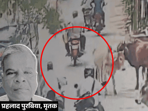 पंचायत सचिव खड़ी गाय से टकराकर गिरे। सिर टैंकर के पहिए के नीचे आया।