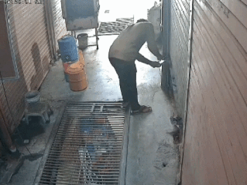 700 ग्राम सोना चोरी का मामला; CCTV में कैद हुई वारदात|रोहतक,Rohtak - Dainik Bhaskar