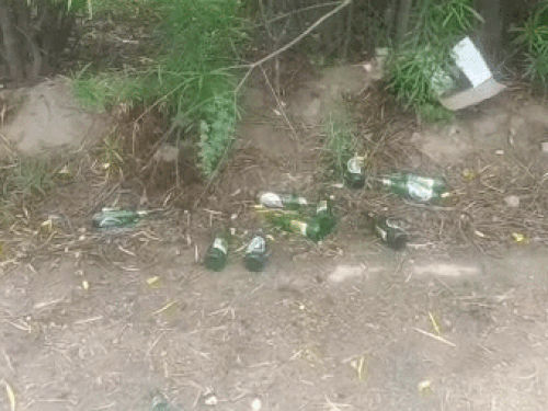 गर्ल्स हॉस्टल के पीछे मिली बीयर की बोतलें, AMVA ने उठाए सवाल|रोहतक,Rohtak - Dainik Bhaskar