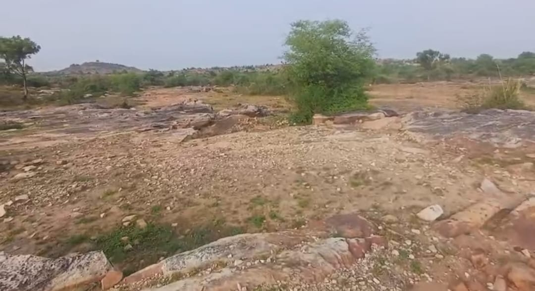 भू माफिया ने पहाड़ पर 83 बीघा इलाके में कब्जा किया।