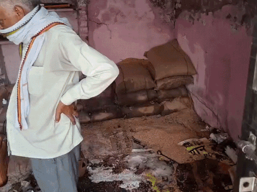 रेवाड़ी में बरसात में भीगा और सड़ा हुआ राशन। - Dainik Bhaskar