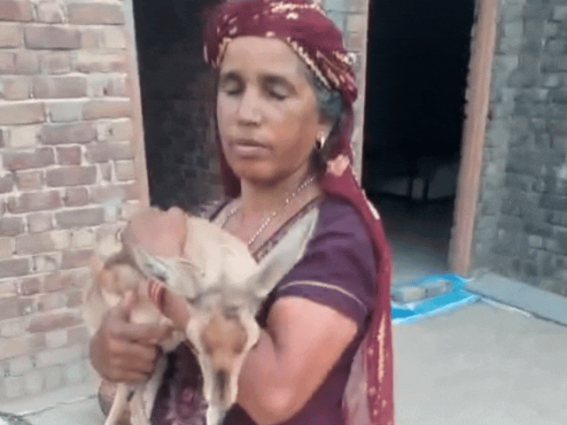 गोद में लिए हुए महिला हिरण के बच्चे को लाड करती हुई