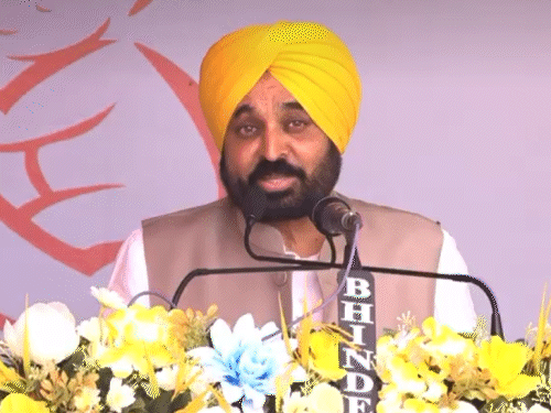 होशियारपुर में जनसभा के दौरान CM मान ने सुखबीर बादल को जेल में डालने की बात कही थी। - फाइल फोटो
