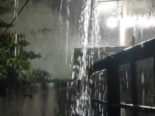बिलासपुर में गुरुवार दोपहर से शुरू हुई बारिश रातभर होती रही।