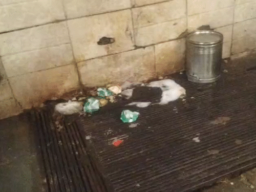 चोखी ढाणी में किचन एरिया के पास विभाग को गंदगी मिली।