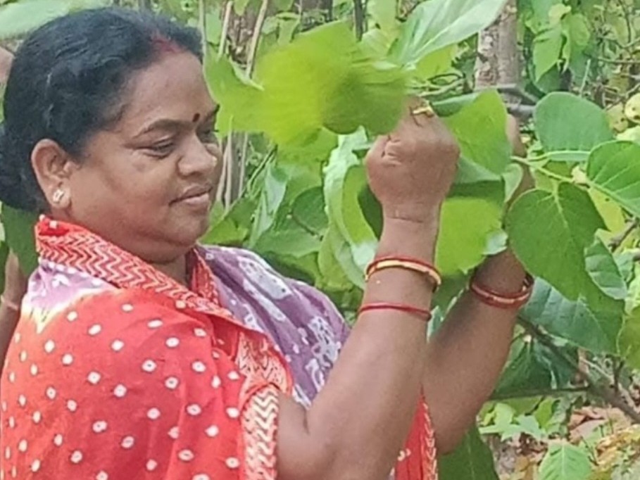 राज्यसभा सांसद फूलोदेवी नेताम।