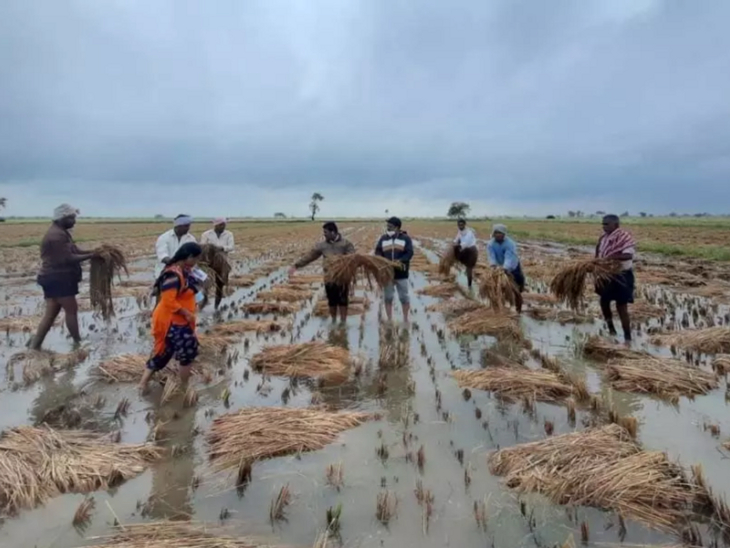 किसान अपने नजदीकी बैंक, वित्तीय संस्थान या कॉमन सर्विस सेंटर (सीएससी) के माध्यम से बीमा करा सकते हैं।