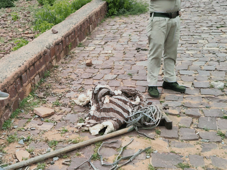 नरवर किले से तोप को 3000 फीट नीचे उतारी गई।