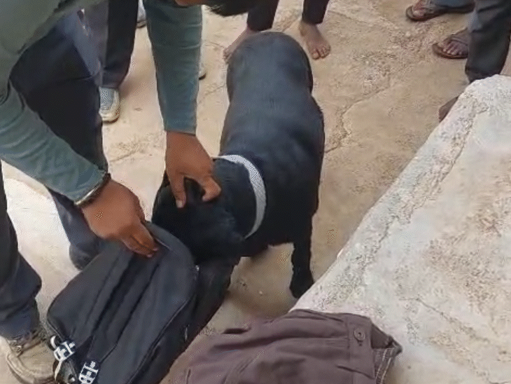 डॉग स्क्वायड ने घर और घटनास्थल पर जाकर जांच की