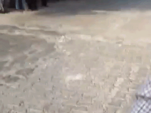 होटल के बाहर सड़क किनारे लड़की अपना फोन वापस मांगने के लिए चिल्लाने लगी।