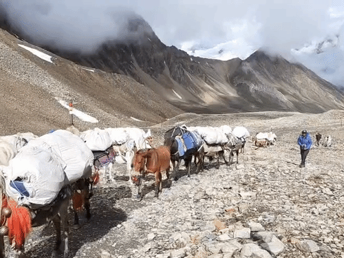 पहाड़ी दरकने से कैलाश मानसरोवर यात्रा मार्ग प्रभावित हुआ।