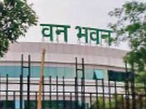 वन महकमे में पदोन्नति से वंचित कर्मचारी अधिकारियों के लिए प्रमुख सचिव को लिखी चिट्‌ठी|भोपाल,Bhopal - Dainik Bhaskar