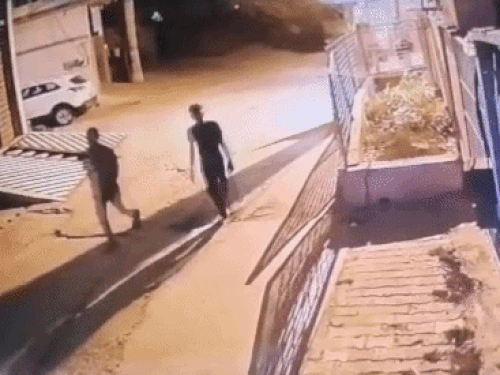 रोहतक में आराम से टहलते दिखे चोर; पड़ोसियों ने एक गाड़ी में 2 पुलिसकर्मी देखे|रोहतक,Rohtak - Dainik Bhaskar