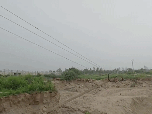 इन्हीं झूके तारों की वजह से 21 भैंसें करंट की चपेट में आ गईं।